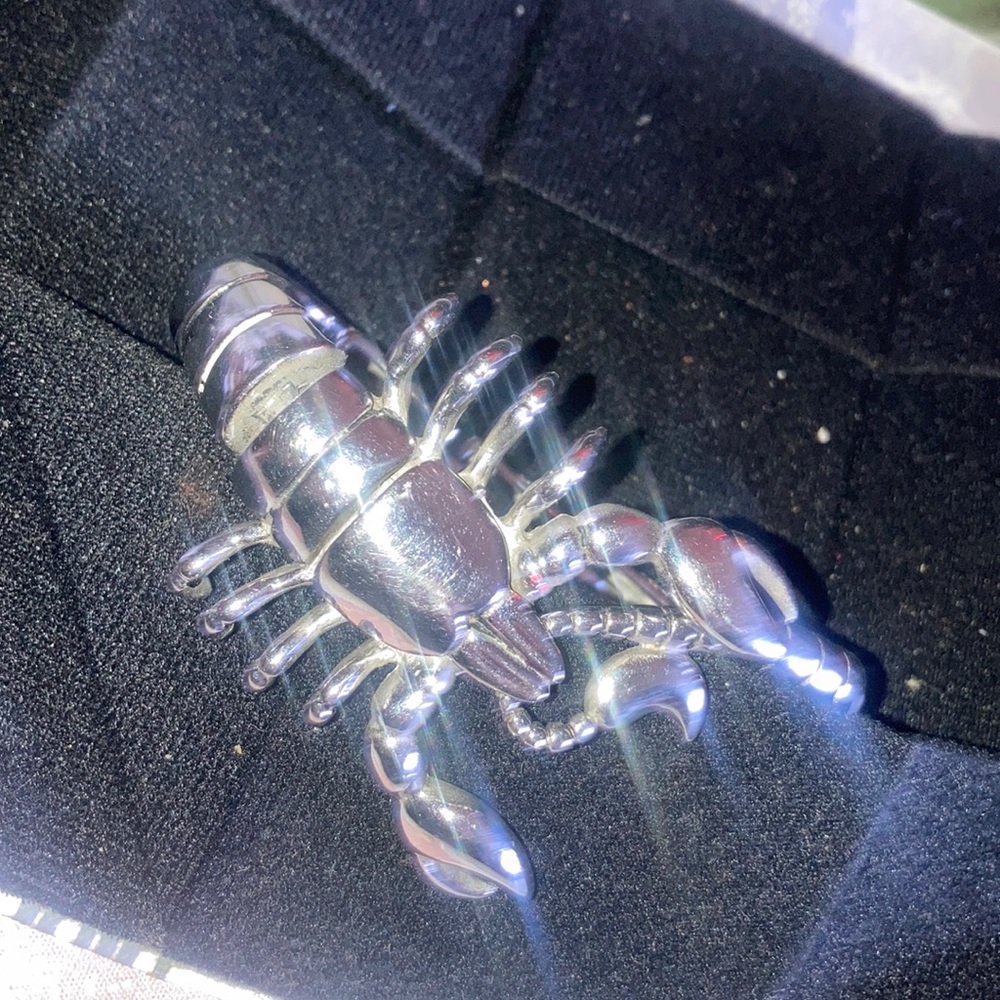 Scorpion medallion vintage style bracelet